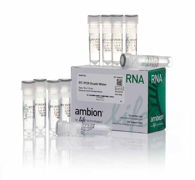 Invitrogen™ RT-PCR Grade Water